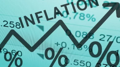 according to the honourable finance minister, "inflation in india is slightlyaabove the tolerance limit" - what can be drawn from this?