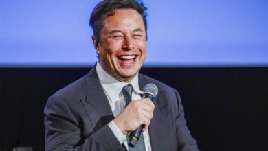 elon musk: al could go wrong and destroy humanity