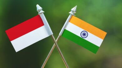 india and indonesia: a tale of two asian giants!