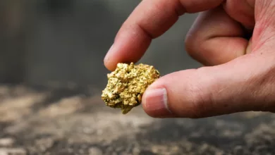 the pure gold ore found in the mine