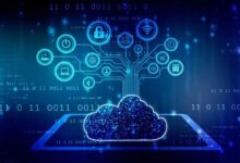 Top 5 Cloud Computing Providers Companies in India 2024