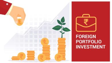 foreign portfolio investment