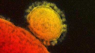abu dhabi reports new mers-coronavirus case, confirms who