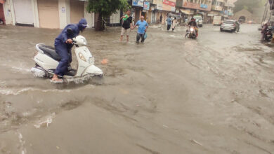 heavy rains gujarat floods pti