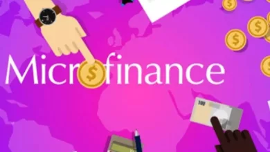 microfinance loan portfolio stands at rs 232648 cr as of dec end report