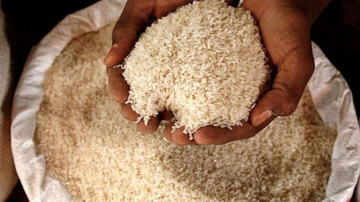 Govt Prohibits Export Of Non-basmati White Rice - Inventiva