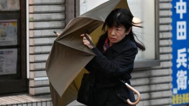 typhoon lan hits japan: landfall occurs, 240,000 people urged to seek safety