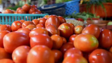 india to import tomatoes from nepal amid surge in price says nirmala sitharaman