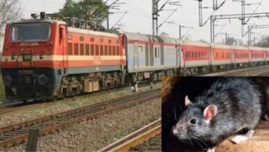 Rats expense in Indian Railways