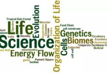 Top 10 Life Sciences Startups In 2026