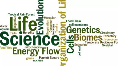 Top 10 Life Sciences Startups In 2026