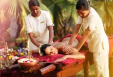 Top 10 Wellness & Lifestyle Brands In 2026