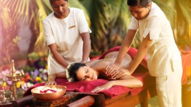 Top 10 Wellness & Lifestyle Brands In 2026