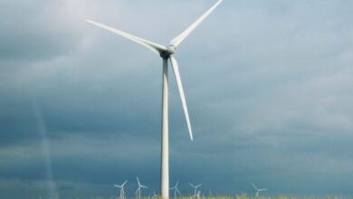 Top 10 Wind Energy Firms In 2026