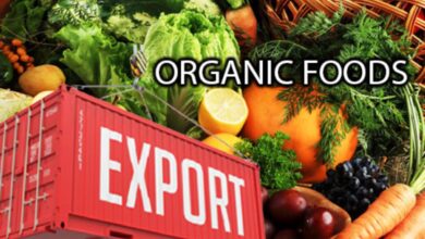 Top 10 Export-Oriented Organic Foods In 2026