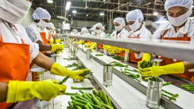 Top 10 Food Processing Companies In 2026