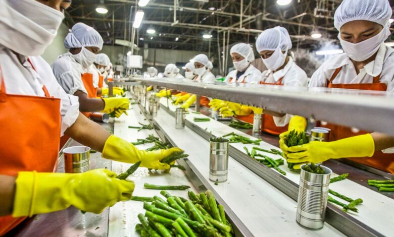 Top 10 Food Processing Companies In 2026