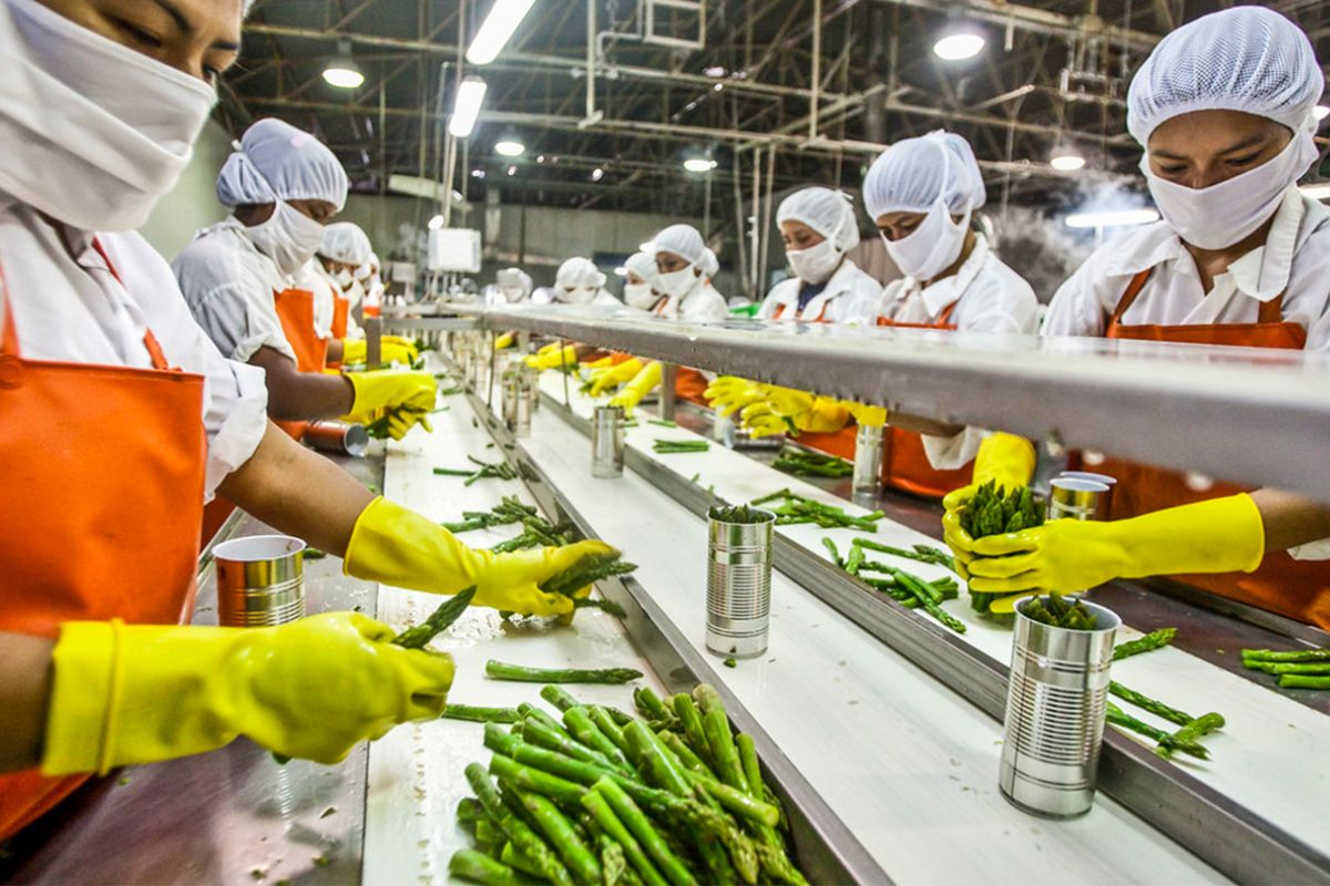 Top 10 Food Processing Companies In 2026