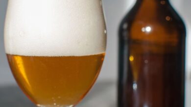 Top 10 Craft Beer Brands In 2026