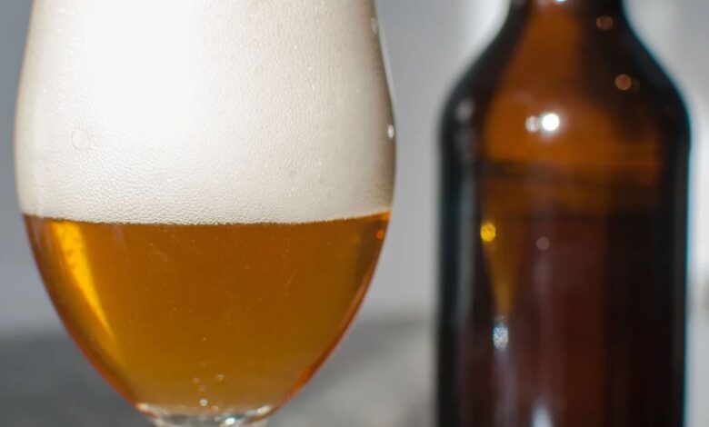 Top 10 Craft Beer Brands In 2026