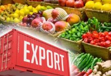Top 10 Agri Export Firms In 2026