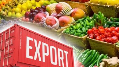 Top 10 Agri Export Firms In 2026