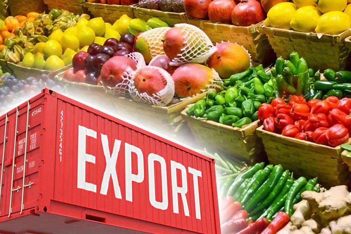 Top 10 Agri Export Firms In 2026