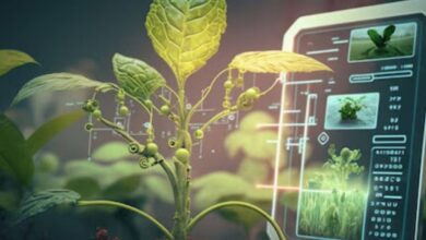Top 10 AgriTech Innovations In 2026