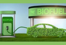 Top 10 Biofuel Producers In 2026