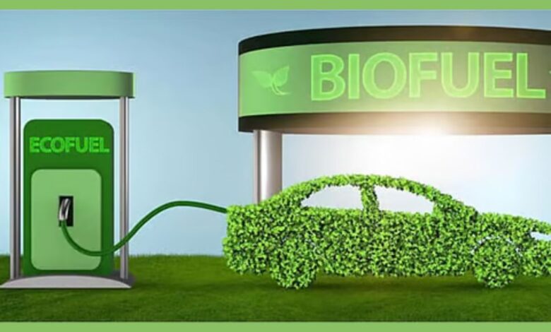 Top 10 Biofuel Producers In 2026