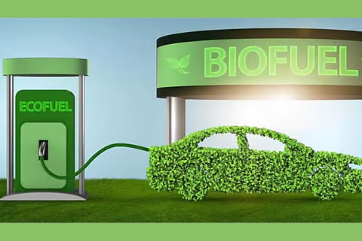 Top 10 Biofuel Producers In 2026