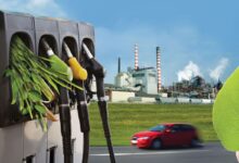 Top 10 Biomass Energy Producers In 2026