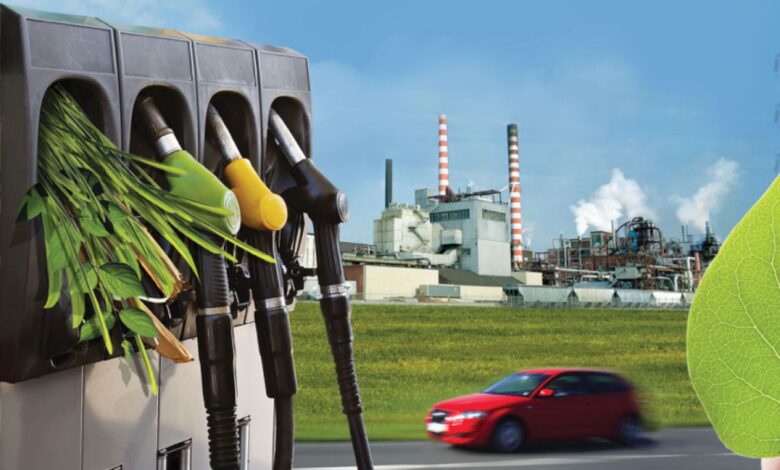 Top 10 Biomass Energy Producers In 2026