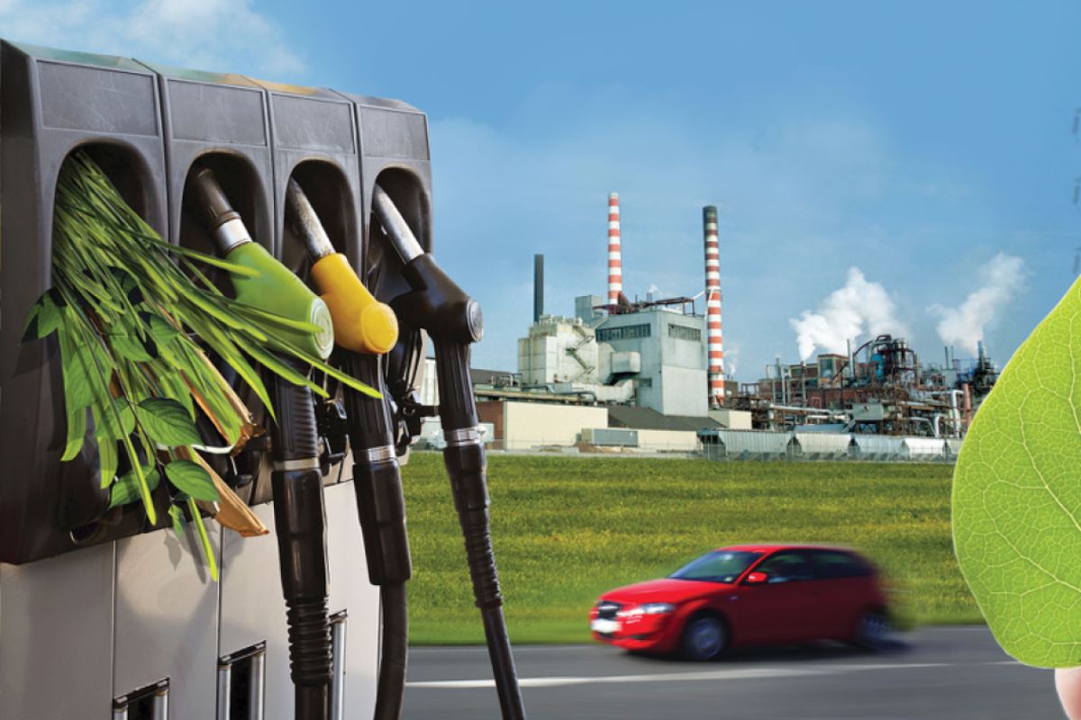 Top 10 Biomass Energy Producers In 2026