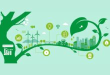 Top 10 Carbon Offset Platforms In 2026