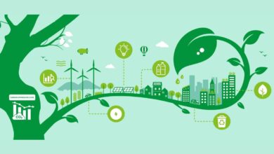 Top 10 Carbon Offset Platforms In 2026