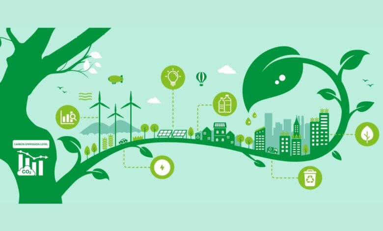 Top 10 Carbon Offset Platforms In 2026