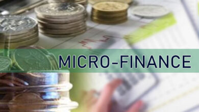 Microfinance Institutions