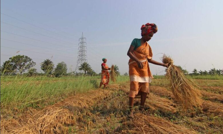 Companies in Rural Development