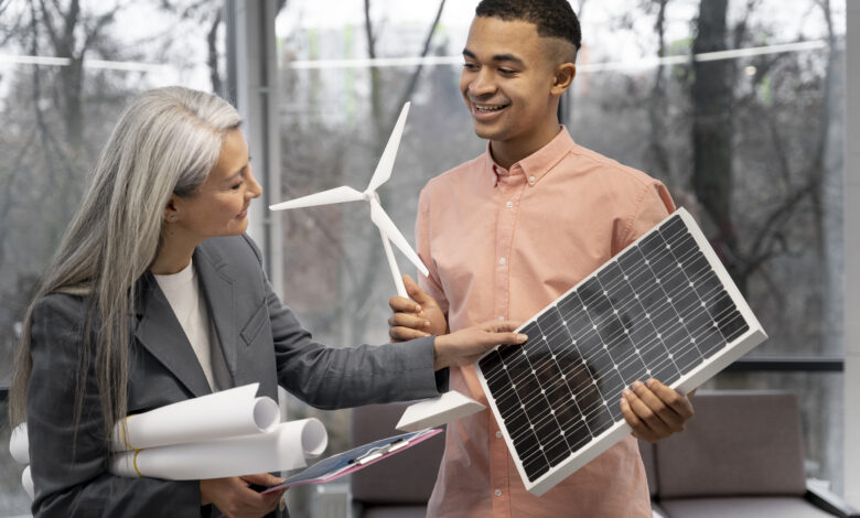 Indian Companies in Energy Efficiency Solutions