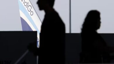 IndiGo Airline Decline