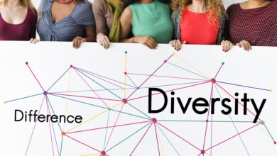 Diversity and Inclusion Programs