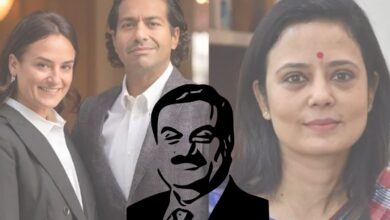 Adani Hindenburg Saga