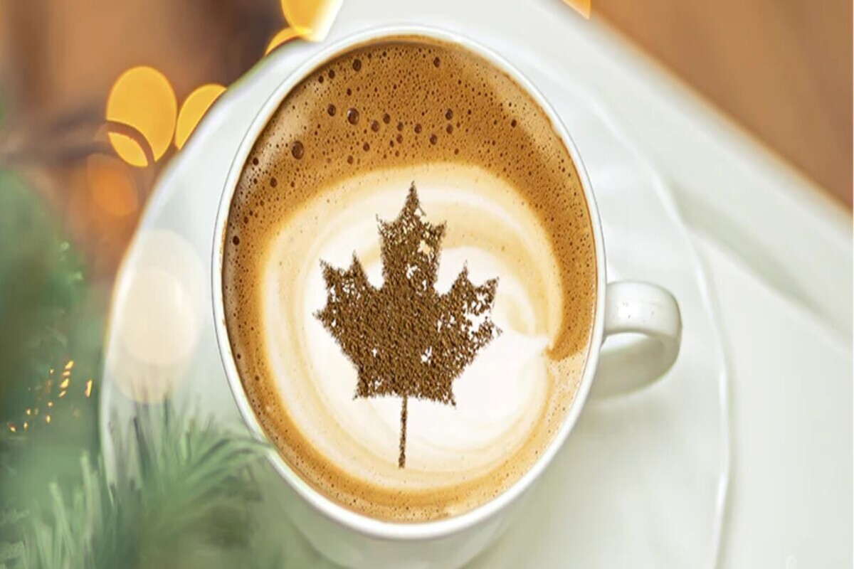 Top 10 Coffee Brands In 2026