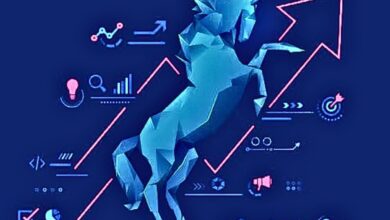 India’s Top 10 Most Valuable Startups