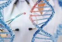 Top 10 Gene Editing Companies In 2026