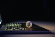 Exploring The Features And Benefits Of 0xProcessing White Label Crypto Payment Gateway