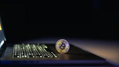 Exploring The Features And Benefits Of 0xProcessing White Label Crypto Payment Gateway