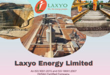 laxyo limited