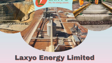 laxyo limited
